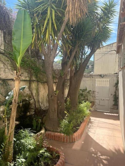 Studio Renove Atypique A Marseille Pres Des Plages 외부 사진