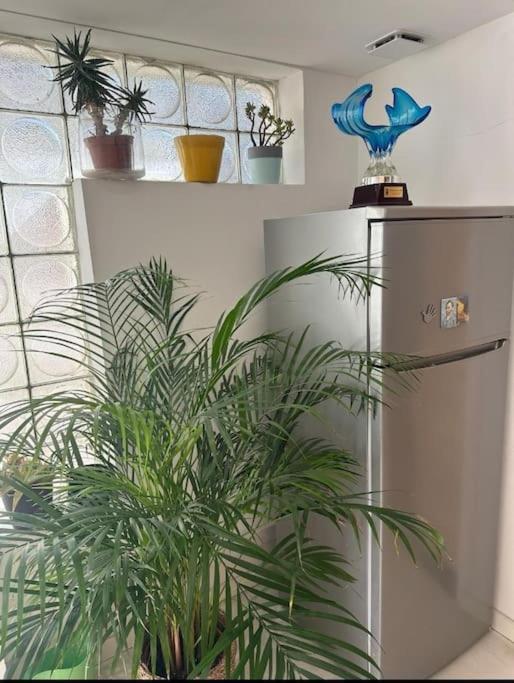 Studio Renove Atypique A Marseille Pres Des Plages 외부 사진